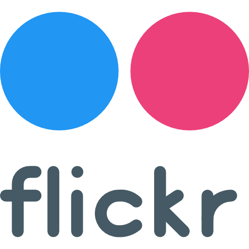 Flickr Icon